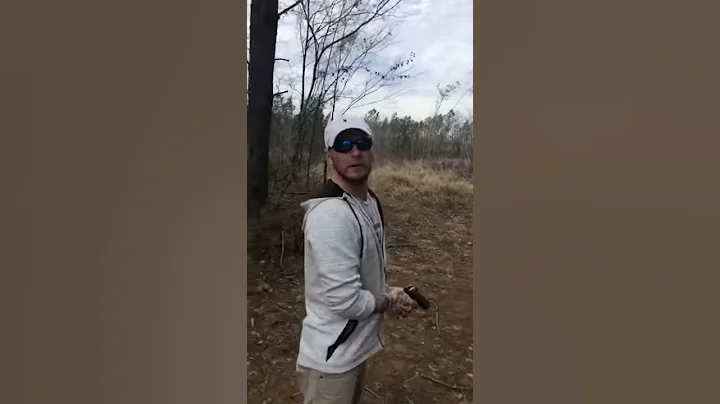 Ruger P95 (Test Video)