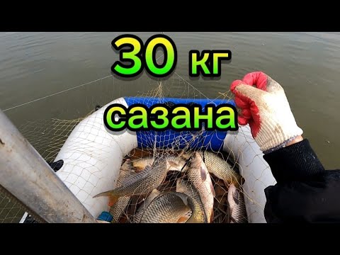 ОГРОМНЫЕ САЗАНЫ ЕЛЕ ЗАТАСКИВАЮ В ЛОДКУ. РЫБАЛКА НА ПАУК ПОДЪЁМНИК.