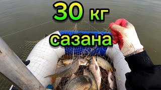 ОГРОМНЫЕ САЗАНЫ ЕЛЕ ЗАТАСКИВАЮ В ЛОДКУ. РЫБАЛКА НА ПАУК ПОДЪЁМНИК.