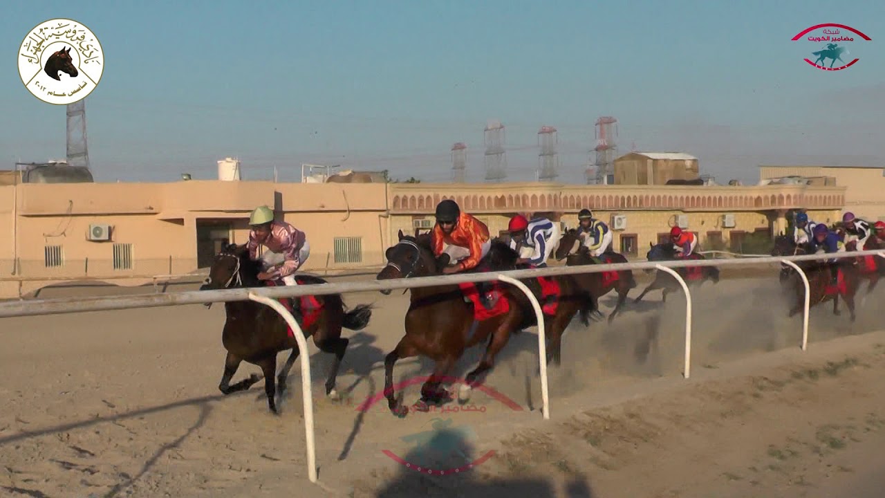 معاصر لـ أسطبل الزامل وابوجحوم