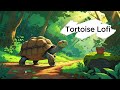 Morning Stroll in the Forest 🌿🐢 | Lofi Tortoise &amp; Nature Sounds