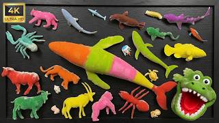 Scorpion, Ant, Blue Whale, Shark and Humpback Whale | Surprising Creatures Kids Love to Learn About Scorpion, Ant, Blue Whale, Shark and Humpback Whale | Surprising Creatures Kids Love to Learn About