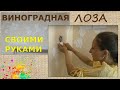 Мастер Класс Создание барельефа Виноградная лоза | Наталья Боброва