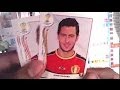 ´Album PANINI Oficial Mundial BRASIL