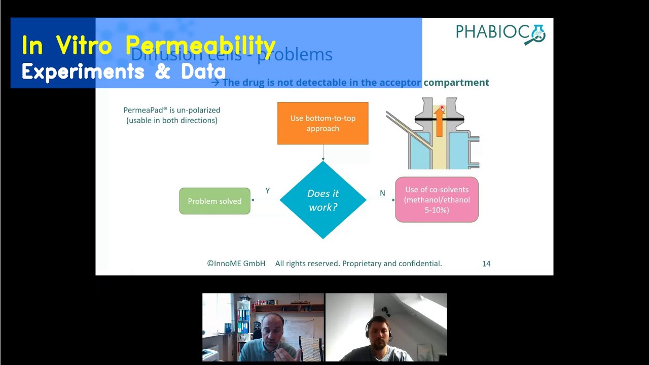PermeabilitySeries:In vitro permeability experiments experimental approaches and data interpretation