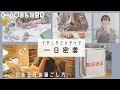 SUB) 一日密着Vlog とある日の過ごし方/買い出しと理想の部屋作り🌷推ししか勝たん