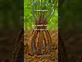لماذا يعتبر الحمص والعدس مهمّين لتحسين التربة العربية؟ 🌱🟤 #SoilHealth #Shorts #تحسين_التربة