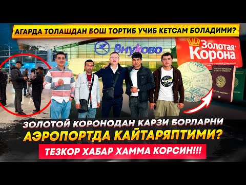 ЗОЛОТОЙ КОРОНОДАН КАРЗИ БОРЛАРНИ ВНУКОВО АЭРОПОРТДА КАЙТАРЯПТИМИ? ХАЁТБЕК САВОЛЛАРГА ЖАВОБ БЕРДИ!!!