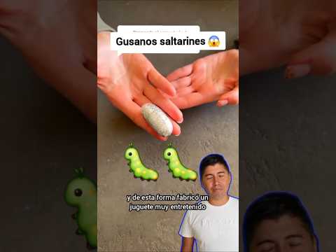'El Misterio de