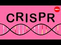 How CRISPR lets you edit DNA