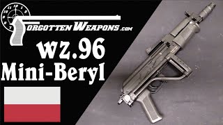Mini-Beryl: карабинная версия польского wz.96