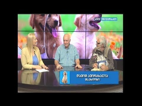 111 ნანა ავალიშვილის გადაცემა \"კონსულტაცია ვეტერინართან\"