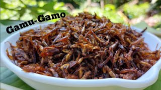 We tried eating Gamu-gamo, Flying termites or Simut-simot in Ilocano