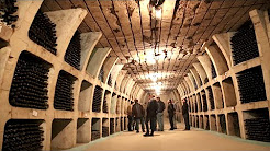 The BEST WINERIES in Moldova