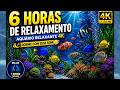 🐠✨ AQUÁRIO RELAXANTE 4K – 6 HORAS DE RELAXAMENTO PROFUNDO ✨🐠
