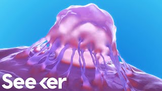 Reprogramming Skin to Grow New Organs Is Now Possible Reprogramming Skin to Grow New Organs Is Now Possible