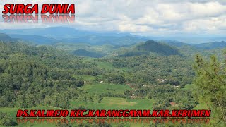 MENTAHAN STORY WA 30 DETIK TERBARU 2021 🎉 || MENTAHAN ALAM PEDESAAN  2021/2022 TERBARU 🔥