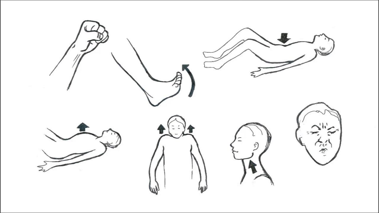 Дыхательная гимнастика по стрельниковой насос. Упражнение мое состояние. Упражнение мое состояние. Упражнения для снятия напряжения. Упражнение кошечка.