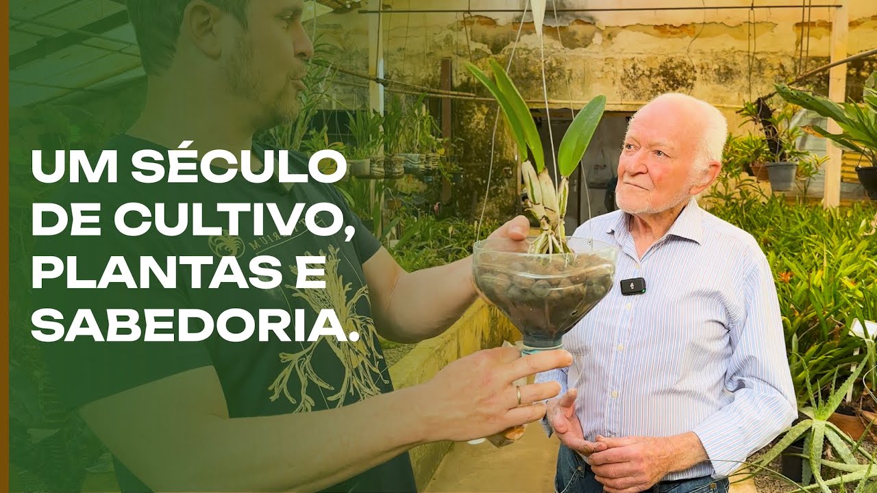 Um século de tradição no cultivo de plantas: o incrível Sr Erico.