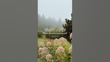 #سورة_الزمر #ماهر_المعيقلي #الشيخ_ماهر_المعيقلي #قرآن #قران_كريم #الكويت #السعودية #قطر #الإمارات
