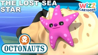 - The Lost Sea Star Series 1 Full Episode 32