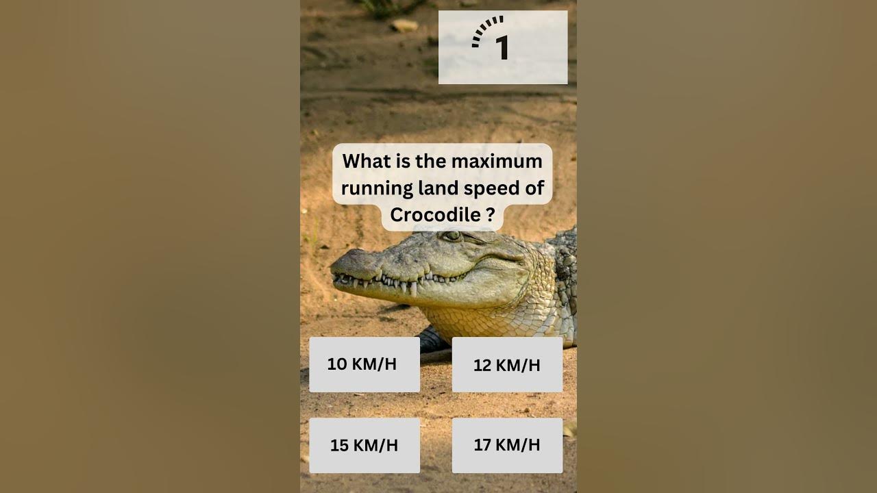 What is the maximum running land speed of Crocodile? (Quiz)-YouTube