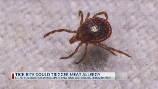 How to avoid a Lone Star Tick bite this summer