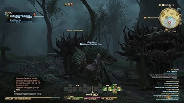 FINAL FANTASY XIV,  Odin