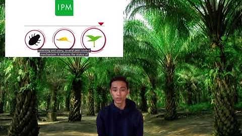 GAP (oil palm)