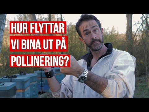 Video: Hur Man Utrustar Din Bigård