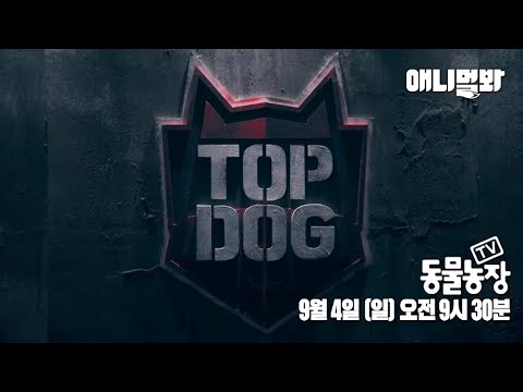 [TV동물농장 특별 기획 TOP <strong>DOG</strong> 예고] ㅣReason Why Life Saving Dogs <strong>Have</strong> Gathered