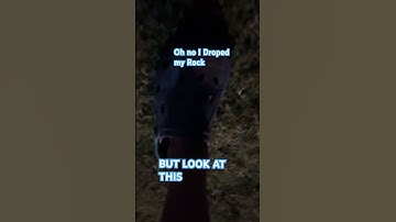 #crocs #Brandnewcrocs