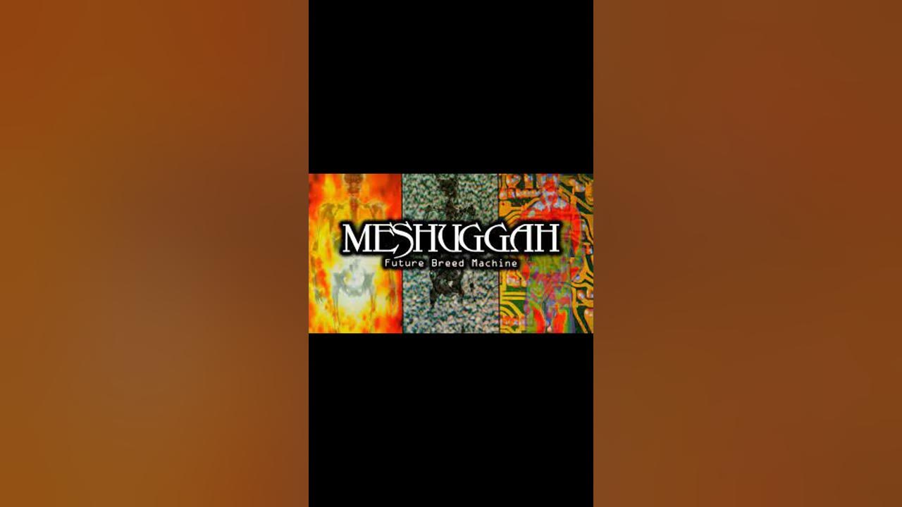 Meshuggah | Future Breed Machine