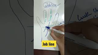 Job line in palmistry