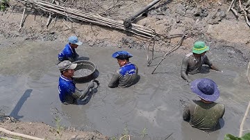 Tát Ao Cậu 3 Bắt Cá Lóc Hấp Trái Bầu Cá Trê Nướng Rơm Món Ăn Đậm Nét Quê Miền Tây.Góc Làng Quê#497