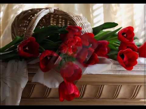 შეუდარებლად ლამაზიაა მიჯნური გული