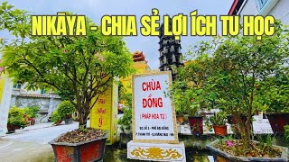 NIKAYA - Chia Sẻ Lợi Ích Tu Học 20