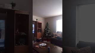 Marry Christmas!!! Yall