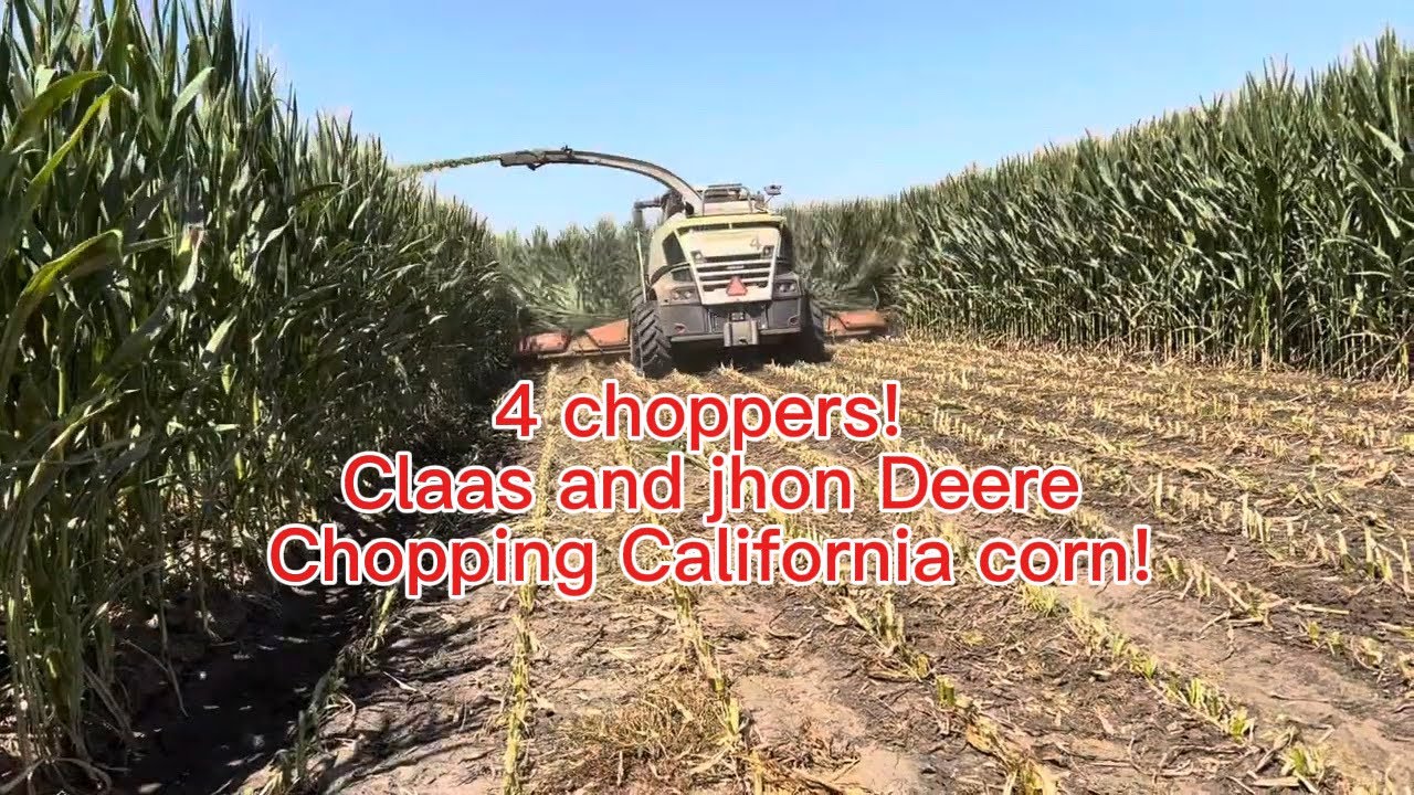 Jhon Deere and claas chopping corn in California harsh conditions.  ￼