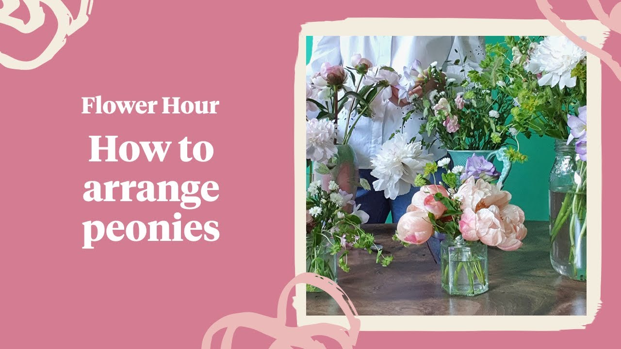 How to arrange peonies 🌸 - YouTube