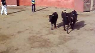capea de QDM en ka hijo puta del Teo