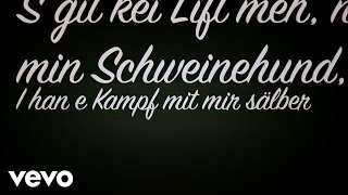 Video thumbnail of "Baschi - Schweinehund (Lyric Video)"