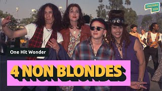 One Hit Wonder - 4 Non Blondes