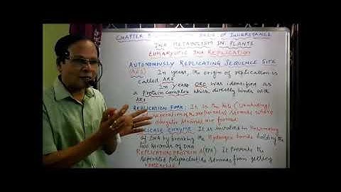 XII Botany  Chapter  3 Chromosomal basis of inheritance DNA metabolism in plants Video 16