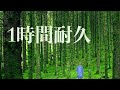 本物の外科医を1時間耐久する動画
