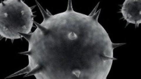 Using Malware Analysis to Improve Exploitation with Didier Stevens