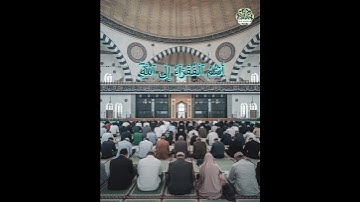 Surah Fatir 15 سورة فاطر      #nuralsalam#miqat01#mehmet #المصحف  #القارئ #اكسبلور