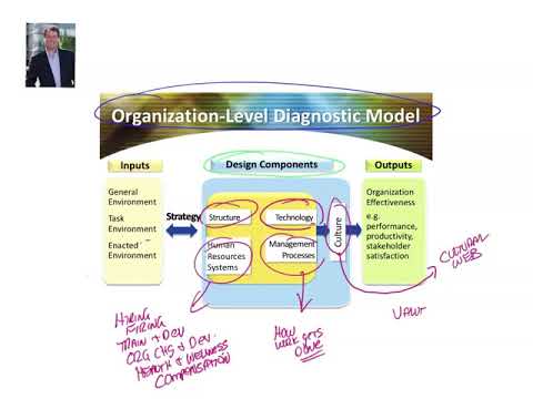 Diagnosing in Organization Development - 3 Level Systems Context