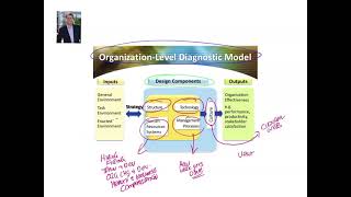 Diagnosing in Organization Change and OD - 3 Level Systems Context