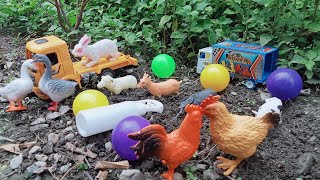 Menemukan Mainan Hewan Sapi Kerbau Ayam Bebek Angsa Kambing Domba Mobil Mobilan